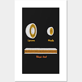 Phospholipids arrangement. Liposome Micelle soap phospholipid bilayer sheet Posters and Art